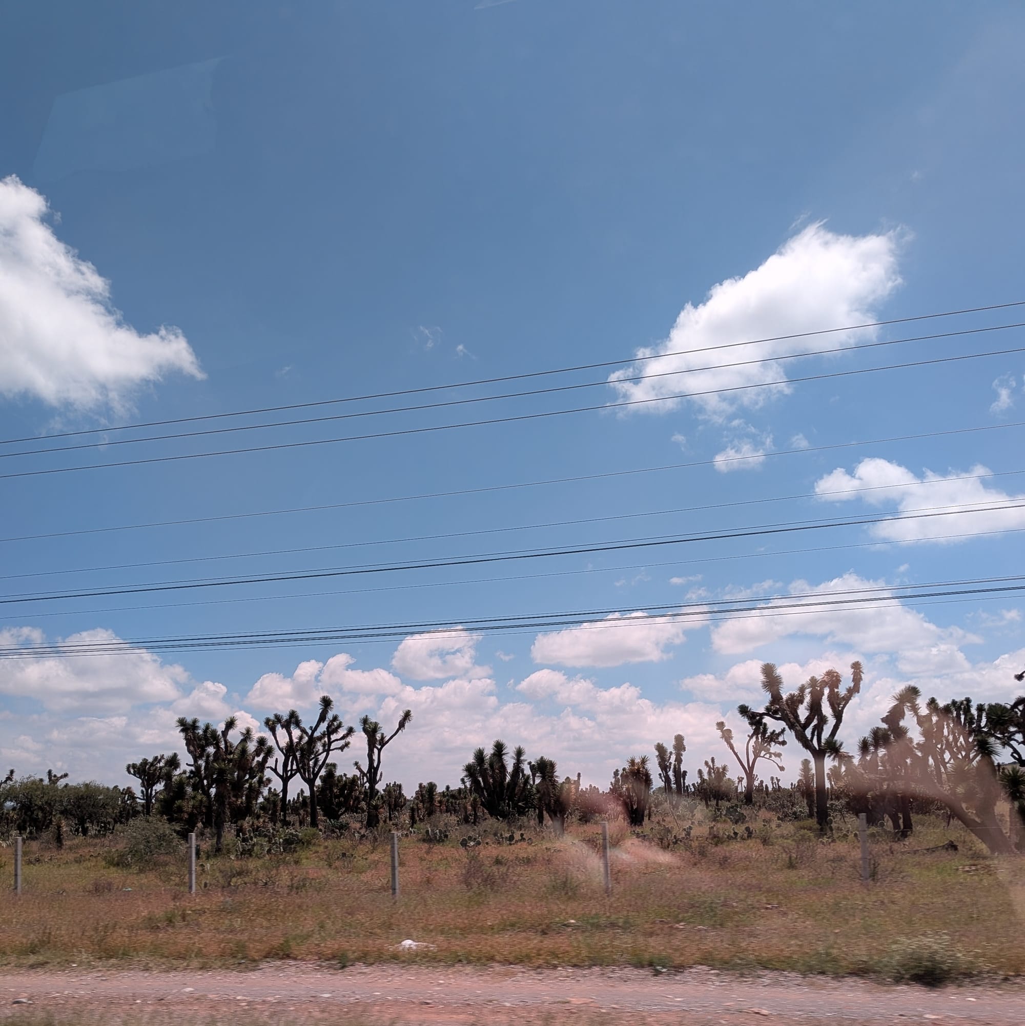 Catching up with the townies