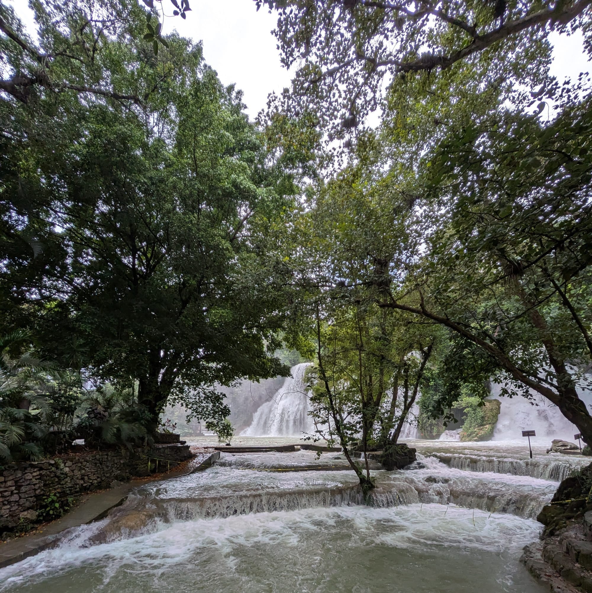 Catching up with the townies