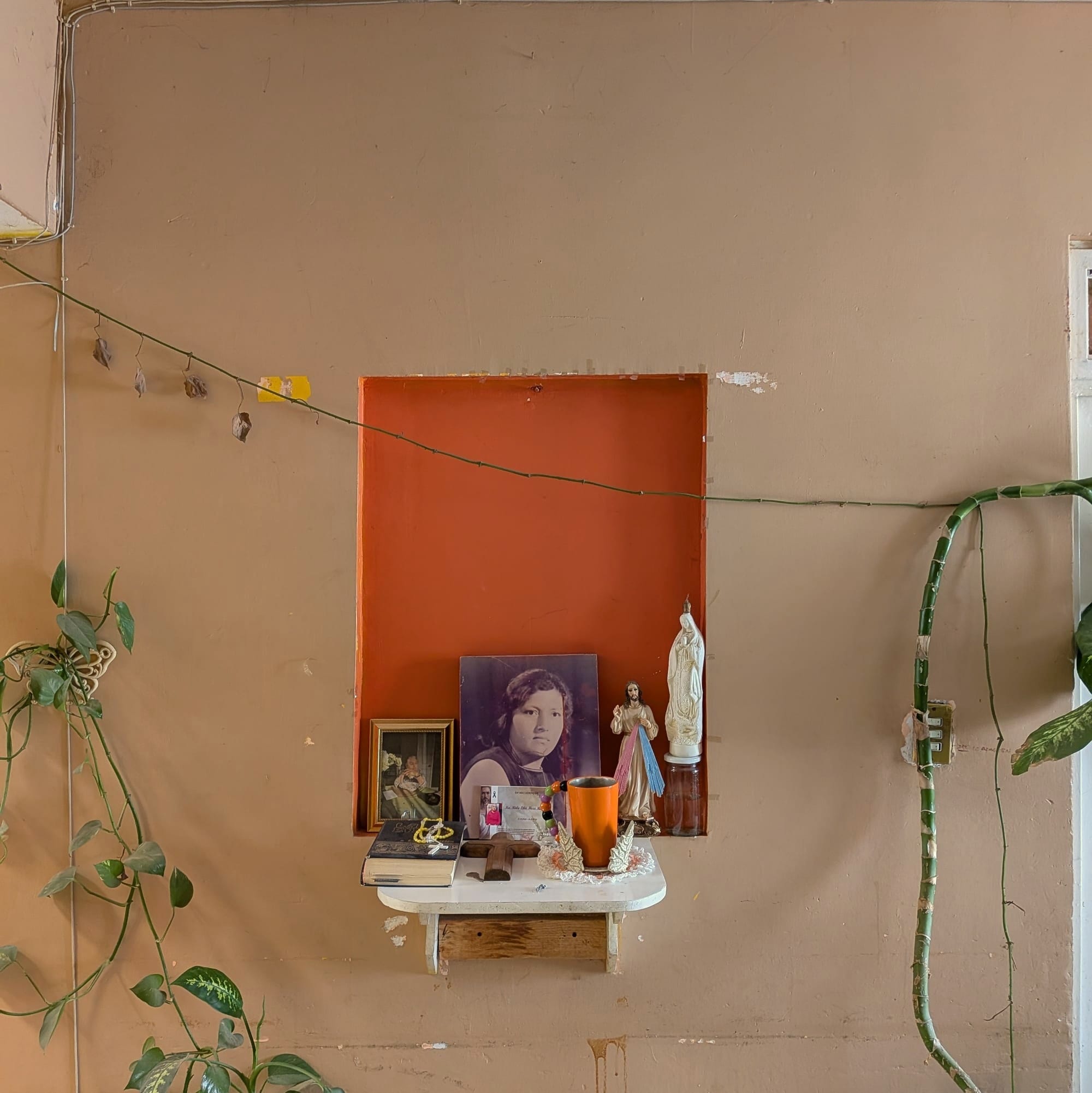 Catching up with the townies