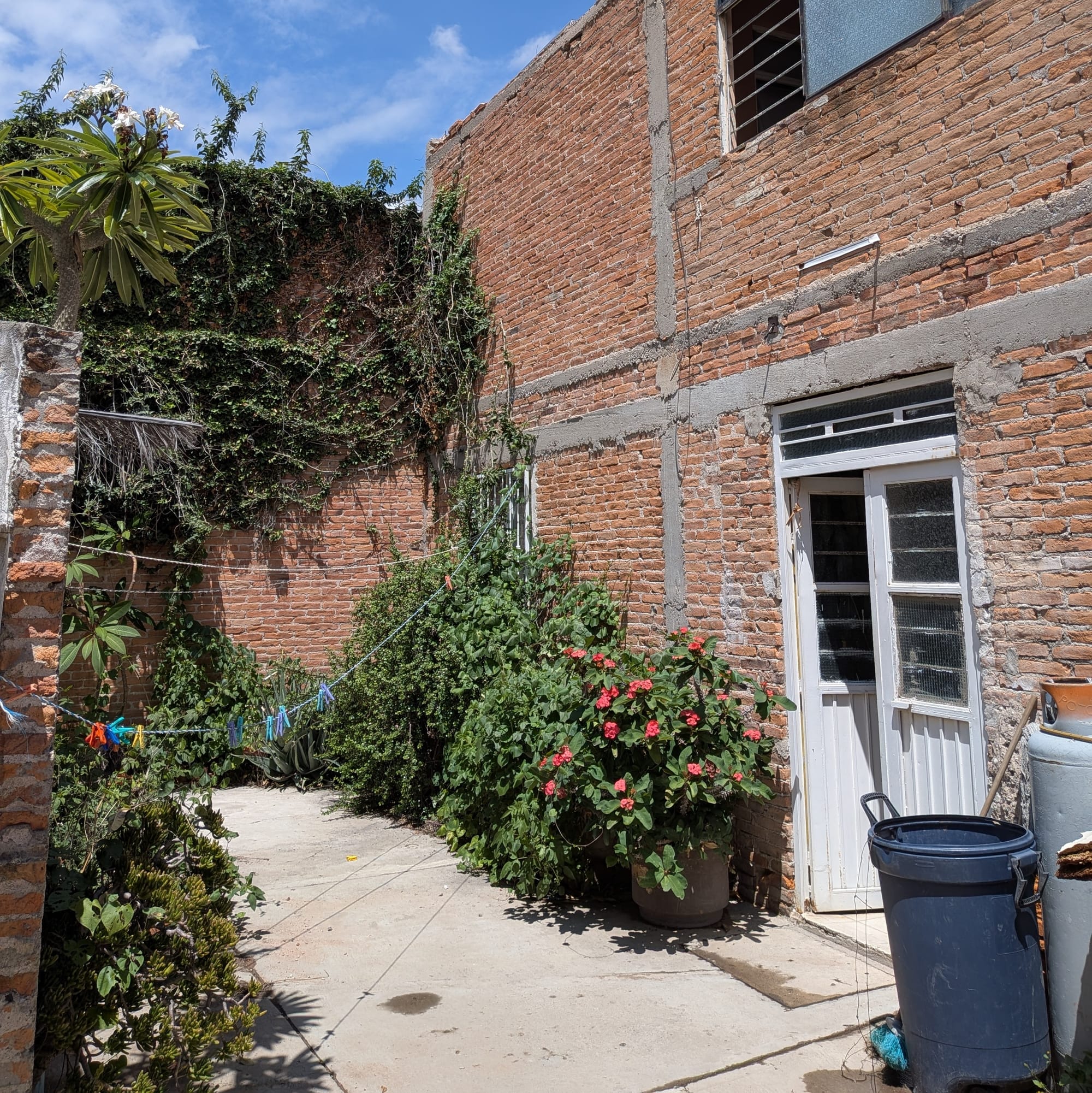 Catching up with the townies