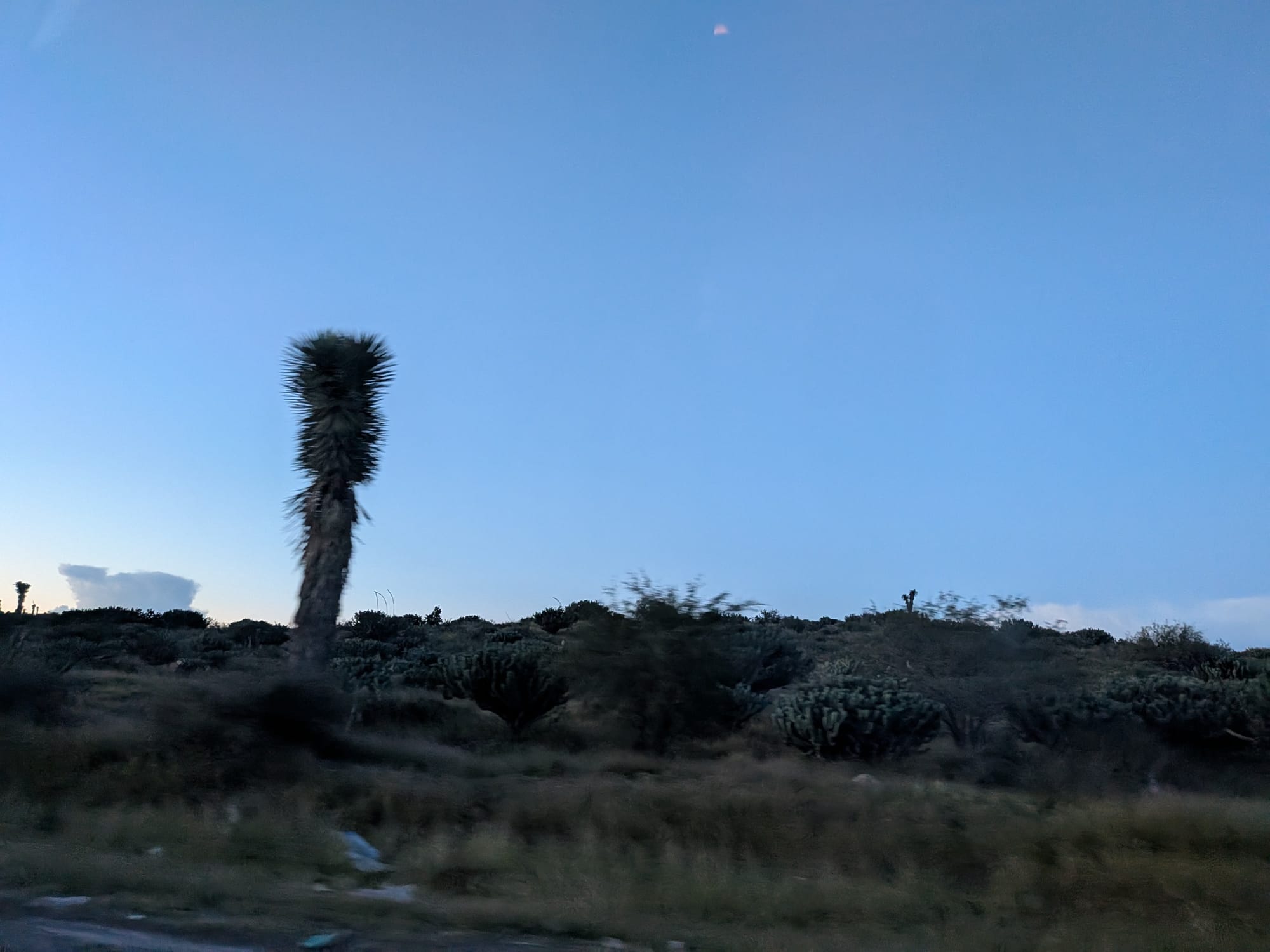 Catching up with the townies